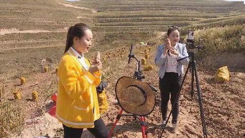 农民直播在线观看,农民直播在线观看现象解析